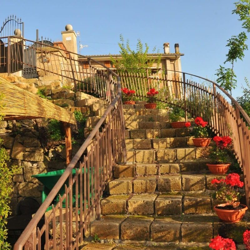 tuscany-garden-pitigliano-degustazioni-terrazza-dettaglio-Tuscany-Garden-Pitigliano-Terrazza-Panoramica-Degustazione-di-vini-del-territorio-maremma-toscana-cosa-fare-vicino-alle-terme-di-saturnia tuscany-garden-pitigliano-degustazioni-terrazza-dettaglio-Tuscany-Garden-Pitigliano-Terrazza-Panoramica-Degustazione-di-vini-del-territorio-maremma-toscana-cosa-fare-vicino-alle-terme-di-saturnia
