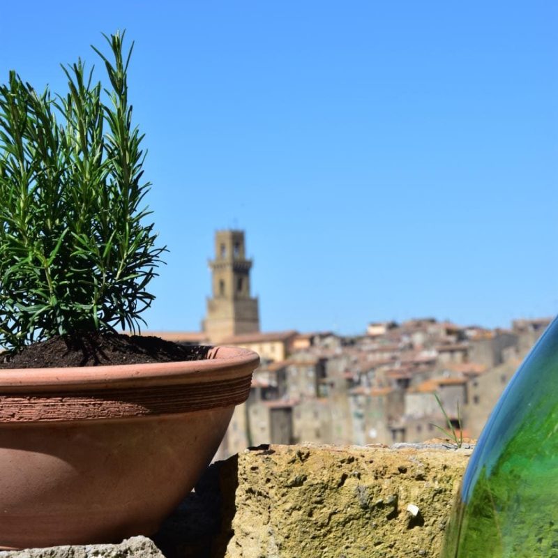 tuscany-garden-pitigliano-degustazioni-Tuscany-Garden-Pitigliano-Terrazza-Panoramica-Degustazione-di-vini-del-territorio-maremma-toscana-cosa-fare-vicino-alle-terme-di-saturnia tuscany-garden-pitigliano-degustazioni-Tuscany-Garden-Pitigliano-Terrazza-Panoramica-Degustazione-di-vini-del-territorio-maremma-toscana-cosa-fare-vicino-alle-terme-di-saturnia